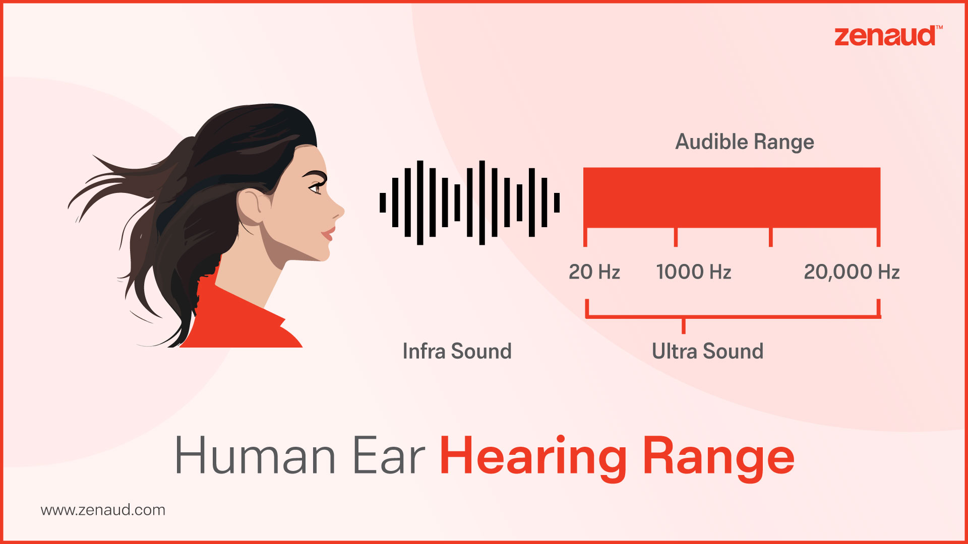 Human Ear Hearing Range